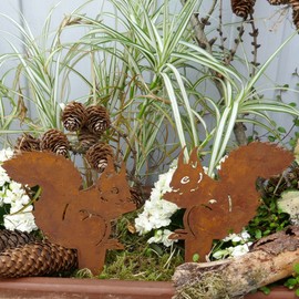 Flower Bed Stakes, Rust Decoration, Squirrel, Set of 2, Garden Stakes, Metal Flower Decoration, Pot Decoration