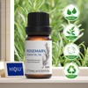 HIQILI Rosemary essential oil 10ML