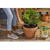 Miracle-Gro Shake 'n Feed Citrus, Avocado and Mango Plant Food