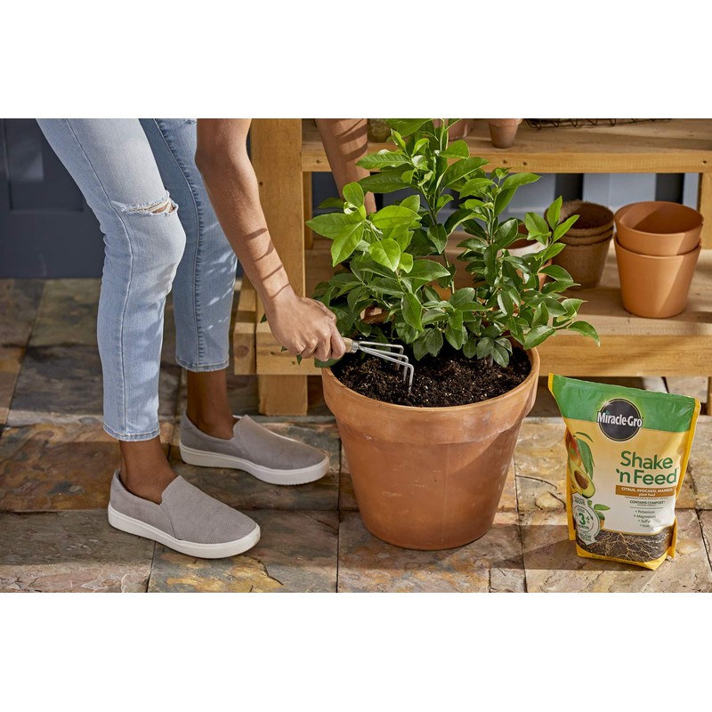 Miracle-Gro Shake 'n Feed Citrus, Avocado and Mango Plant Food