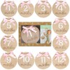 Kate & Milo Milestone Props, Bow, Double-Sided Baby Announcement Discs,