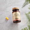 SOLGAR Solgar Megasorb Vitamin B-Complex Tablets - Pack of 50