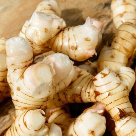 Fresh Galangal for Planting, Cooking, Tea, Established, Rooted (Galangal Rhizome (cooking) - 8oz)