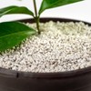 Gardenera Organic Perlite — Medium/Fine Grade Horticultural Soil Amendment for