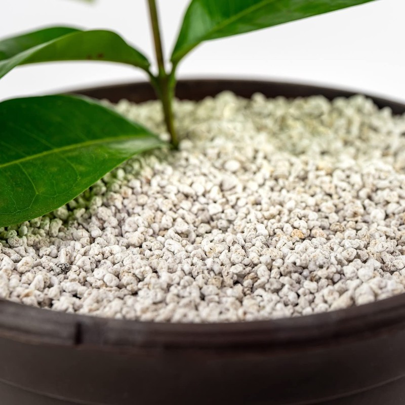 Gardenera Organic Perlite — Medium/Fine Grade Horticultural Soil Amendment for
