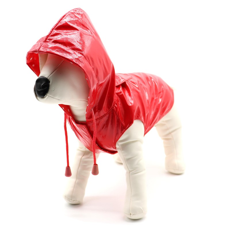 Cross C7274475 Raindrop Cherry Waterproof, 20 cm