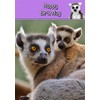 Lemur Birthday Card