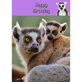Lemur Birthday Card