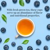 The Republic Of Tea Blueberry Green Superfruit Tea, 250 Tea