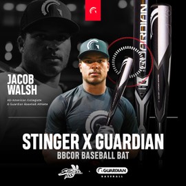 Guardian X Stinger BBCOR Baseball Bat - 3 Drop - 2 5/8" Barrel - Available in 31” to 34” - Drop 3 Baseball Bat for Middle School, High School, or College - 34" - 31 oz - Black/Gray