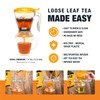 Tiesta Tea Ultimate Live Loose Leaf Kit, Tea Starter Kit