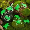 HFWTWPY 30PCS Toy Frogs for Kids, Realistic Mini Rubber Frog
