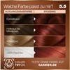 Garnier Good Permanent Hair Colour 5.5 Hibiscus Red Brown -
