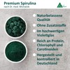 Premium Vegan Spirulina Pellets Made from Natural Teal Algae +