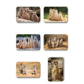 Merchandise for Fans Meerkat Fridge Magnets Rectangular 7 x 4.5 cm 01 for Memo Board Notice Board Magnetic Whiteboard Pack of 6