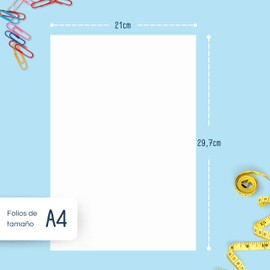 RAYLU PAPER - A4 80g 100 Sheets Premium Multi-Purpose Paper for Laser Printers, Inkjet and Copiers, for Office and Home