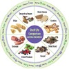 Lasting Freshness 10 pc SAVE IT | Vacuum Sealed Food