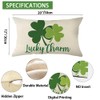 Ogiselestyle Lucky Charm Clover Throw Pillow Cover, 12 x 20