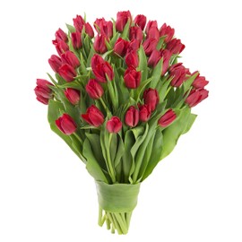 KaBloom PRIME NEXT DAY DELIVERY - WEDDING COLLECTION - 50 Red Tulips I Gift for Birthday, Anniversary, Thank You, Mother’s Day Fresh Flowers.