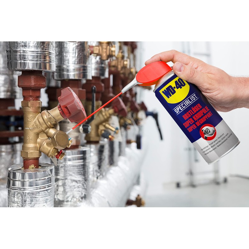 WD-40 Specialist Smart Straw Rust Remover 250 ml