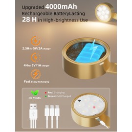 VOLISUN Picture Lights for Wall, 4000mAh Rechargeable Picture Light Battery Operated, 3 Color Temperatures Cordless Picture Light with Remote, Art Light for Painting, Gallery, Portrait, 3 Pack (Gold)