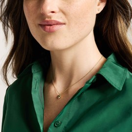 Fossil Jewelry Gold Gift Set JF04881SET