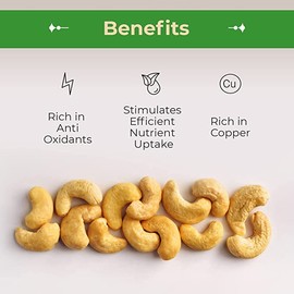 Sincerely Nuts – Whole Cashews Roasted and Salted | Two Lb. Bag | Deluxe Kosher Snack Food | Healthy Source of Protein, Vitamin & Mineral Nutritional Content | Gourmet Quality Vegan Cashew Nut