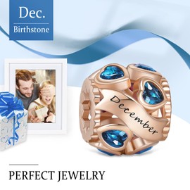 NINGAN Birthstone Charms for Bracelets Rose Gold Charm 925 Sterling Silver Openwork Beads Charms, Love Heart Charms for Bracelets and Necklaces, Cubic Zirconia, Cubic Zirconia