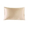 THXSILK 100% 19 Momme Silk Pillowcase Cushion Cover with Zip