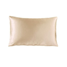 THXSILK 100% 19 Momme Silk Pillowcase Cushion Cover with Zip - Silk Pillow Cover - Super Soft and Smooth Silk Pillow Cover