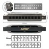 East Top Harmonica, Beginner, Blues Harmonica, C-tone, 10 Holes, 10
