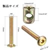 ChasCoCo Bolts M6 x 55mm Set of 5 Hex Bolts