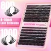 Lash Clusters DIY Lash Extensions Fluffy Individual Eyelashes 80D 100D