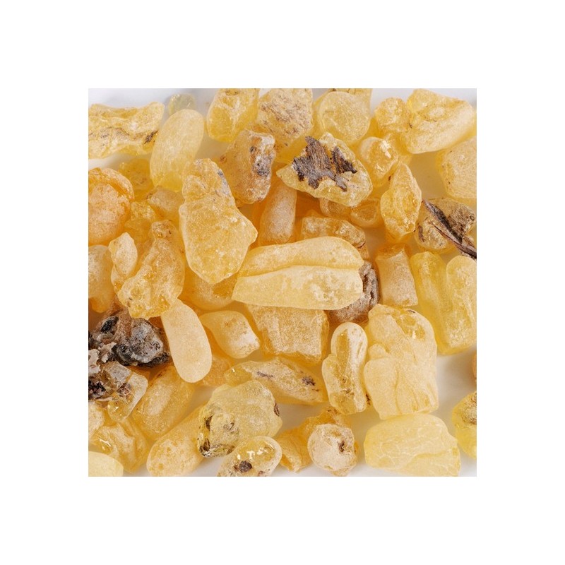 Boswellia extract powder 500g 2 packs / 보스웰리아 추출분말 500g
