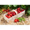 Strawberry-Kiss easyWater Drink Powder, Sugar-free Flavour Powder for Refreshing Drinks,