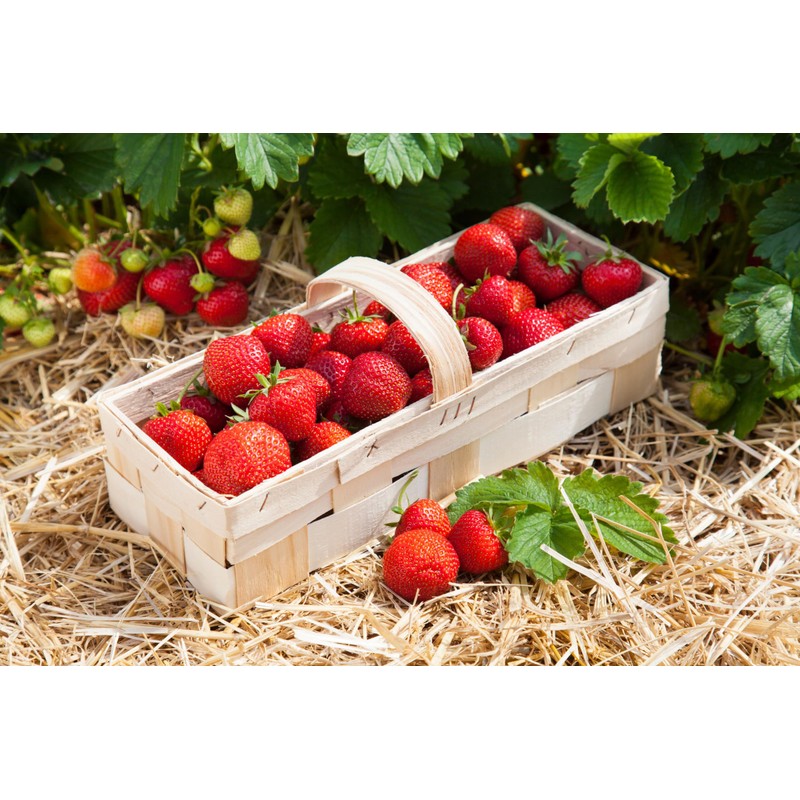 Strawberry-Kiss easyWater Drink Powder, Sugar-free Flavour Powder for Refreshing Drinks,