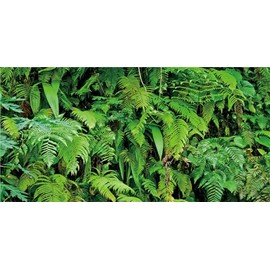 MIRRORANG 180 x 61 cm Tropical Terrarium Background Tropical Plants Leaves Aquarium Background Rainforest Reptiles Habitat Background Durable Vinyl Background