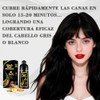 shampoo con tinte 3 en 1,Champú Colorante para Teñir el