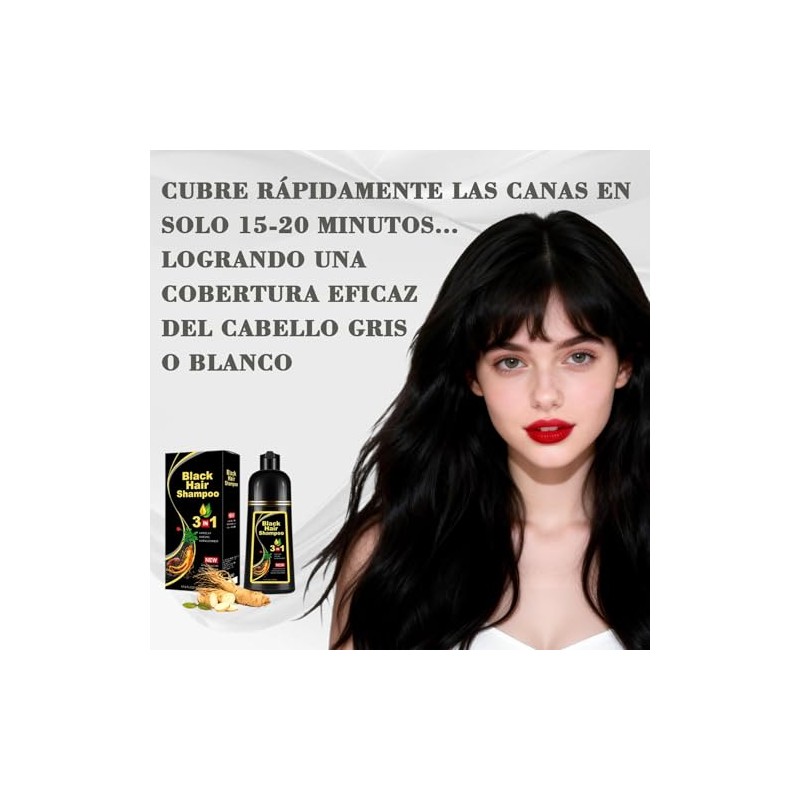 shampoo con tinte 3 en 1,Champú Colorante para Teñir el