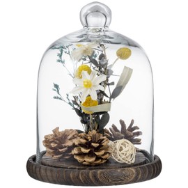 MyGift Clear Cloche Glass Dome, Display Bell Jar with Top Handle and Rustic Brown Solid Wood Base