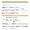Naturaglace Correcting Stick 02 Smooth Matte Spot Face Color