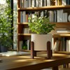 La Jolie Maison White Planter with Wood Stand, Large Ceramic