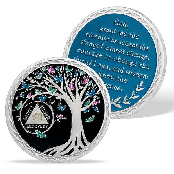 AtSKnSK 7 Year Sobriety Coin 1-20 Years Sobriety Coin AA