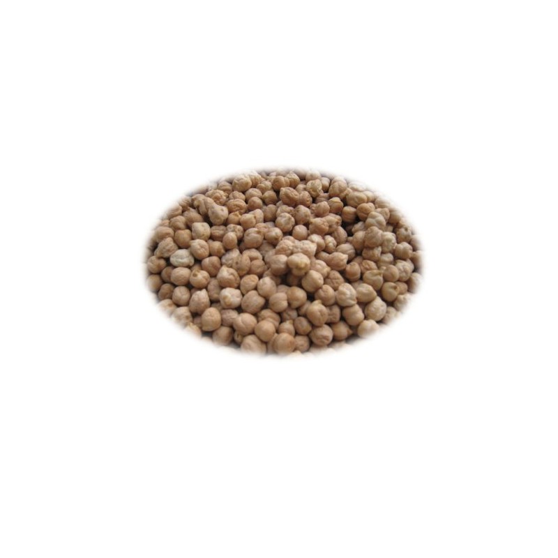 Garbanzo Beans (Kabuli Chana) 2 Lbs