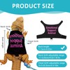 Bearded Dragon Lizards Clothes with Leash Set - Cute Lizard