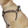 Bobby Safe Dog Harness for Very Small Dogs, Reflective and