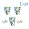ICE BREAKERS ICE CUBES Piña Colada Sugar Free Gum 40