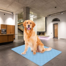 HONEY CARE Washable Dog Pee Pads 34" x 35" (Pack of 2), Reusable Training Pads for Dogs, Washable Waterproof Training Pads for Dogs, Whelping & Seniors Incontinence Pads (2 Pack - 34x35)