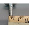 Disston Hand Saw Medallion Disston NOS- Handsaw Medallion NO NUT