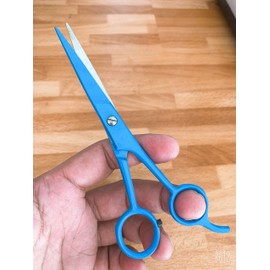 Professional 6" Hairdressing Barber Scissors Hair Cutting Salon Shears for Men and Women (6.5" Blue Scissor J2)